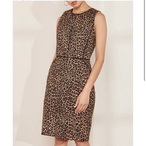 J. Crew Leopard Print Piped Slimming Knee Length Sleeveless Sheath Dress 4